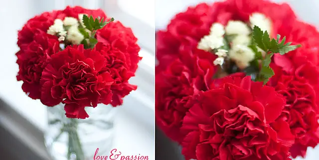 DIY Vases For St-Valentine Flowers: Red Carnations