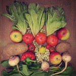 Vegetables From Lufa Farm